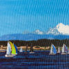 Penn Cove Spinnakers in Action