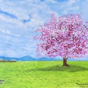 Cherry Blossom Spring