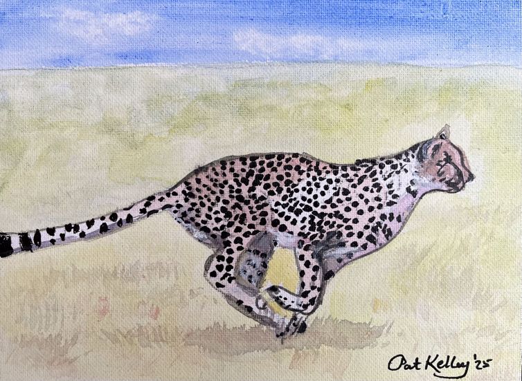 Faster than a Cheetah!