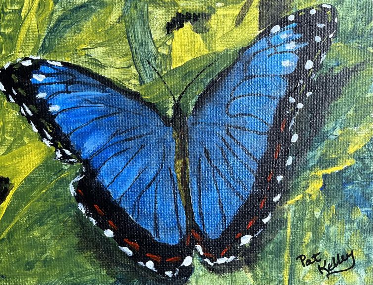 New Life Butterfly!