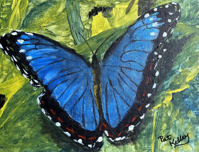 New Life Butterfly!