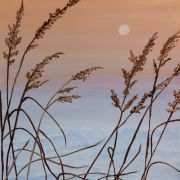 Golden Hour Grasses
